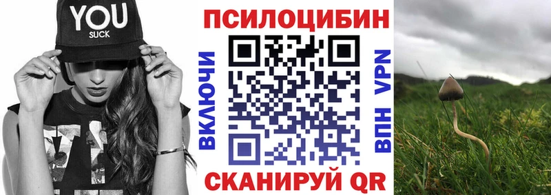 Галлюциногенные грибы мицелий  где продают наркотики  Мелеуз 